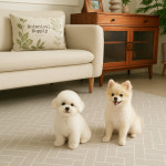 롤마루 미끄럼방지 롤매트 plus+ 강아지 고양이 논슬립 방수 애견매트 110x100cm : 롤마루