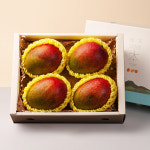 프리미엄 제주 애플망고 선물세트 1.5kg(3~5입) / 3kg(6~8입) : 제주깨비농원