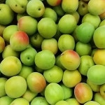 청매실10kg  순천 광양 홍매실 : 남도농산