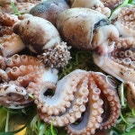 급냉 초특대 알주꾸미 2kg(10-20미내외) 알수율50-60% 대왕쭈꾸미 알배기 중국산 : 행복식탁