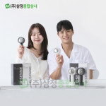 디센느 아이스 냉각 손선풍기(개당 10,900원) : 주식회사 삼정종합상사