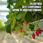 딸기스프레드 : 농장 760