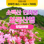 소백산 연화봉 철쭉 트레킹 죽령 희방사 코스 당일치기 리무진 버스 여행 서울 출발 : 승우여행사