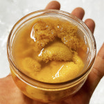 남해안 성게알 성게 우니 보라성게알 : 제철신선푸드