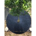 천 커버 나무 매트 부직포 잡초 보호 식물 원형 정원 : 햅삐직구