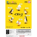 차량용 고양이 미니 개새 굿즈 엽기 모음 피규어 세트 달걀지전/125위안 이상 최신 6개 한 : ogongcp