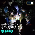 (서울) (용산,양재,선유도) 5-10세 어린이 주말 자연탐험 야간체험 : 숲에온아이들