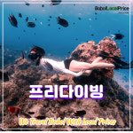 [보홀로컬프라이스 트래블앤투어스] 프리다이빙 펀프리다이빙  보홀인생사진 보홀자유여행 : 가이빙
