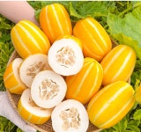쏠 안동참외 (1kg 5-6개) : 쏠수산