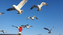 [목포요트] 더인피닛-프라이빗 주간(4인) : 요트앤스테이