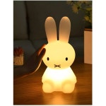 인테리어 취침등 캐릭터 수유등 조명 대형 수면등 토끼 무드등 : 블레스스토어777
