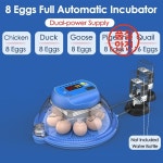 병아리 오리 메추라기 가금류 부화장 인큐베이션을 위한 지능형 소형 8피스 자동 온도 조절 : 효문산업