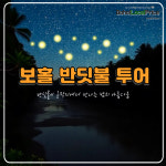 [보홀로컬프라이스 트래블앤투어스] 보홀 반딧불 투어 : 가이빙