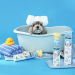 펫생각 자동거품 버블 펫 고양이 강아지 샴푸 천연 저자극 각질 비듬 세정 300ml, 1개 : 펫생각 스토어