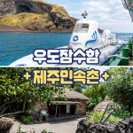 제주 우도잠수함+제주민속촌 + 낙타트래킹 PKG / 제주도 동부권 여행코스 : WEPICK
