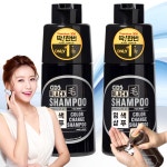 딱한번 염색샴푸 프리미엄 2개 지디에스 블랙 새치 흰머리 염색 샴푸 : MJ 코리아