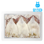선동 냉동 할복오징어 5kg 4kg 오징어볶음 박스 도매 식당용 업소용 : 앞치마수산