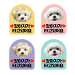 강아지가 타고있어요 차량 스티커 반려동물 강아지 사진 커스텀 자동차 스티커 : 픽키핑거스