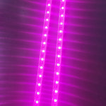 정육점 LED바 방수 완제품 핑크색 100mm LEDBAR12V /엘이디바 주문제작 : LED피앤텍