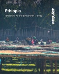 [애콰이엇커피] 에티오피아 시다마 벤사 산타와니 내추럴 500g : 애콰이엇 커피