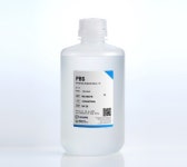 [15-30°C] BANDIO 1X PBS, 10X PBS pH 7.4 (Phosphate Buffered Saline) 500ml, 1L : 에이엠사이언스