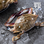 인천 연평 제철 서해안 꽃게 1kg 숫꽃게 암꽃게 냉동꽃게 : 두팜