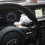 인카스 베어버디 자동차 곰돌이 피규어 와이퍼 기어베러 장식 차꾸미기 용품 소품 모모 : 오토티엔 온라인 그룹