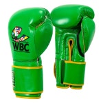 타이틀 복싱 WBC 에디션 백글러브 복싱글러브 16oz, 그린 : 네버아웃