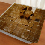 냉동 브라인 쉬림프 슈림프 열대어 사료 먹이 : 산동글로벌