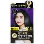 리엔 흑색 새치 염색약 한방크림 흑모비책 : 산유상회