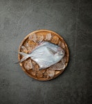 목포 산지직송 병어 회 세꼬시 제철 생물 손질 덕자 병치 : 친구가 수산해