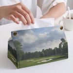 퓨 가죽 박스 홀더 골프 코스 화장지 케이스 여행용 티슈 튜브 욕실, 침실, 호텔, 사무실 : lunamarket