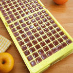 냉동 브라인 쉬림프 슈림프 열대어 사료 먹이 : 산동글로벌