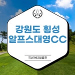 강원도 횡성 알프스대영cc 1박2일골프패키지 : 자이언트 골프