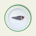 그린펫푸드 장어머리, 장어뼈 동결건조 : 그린 펫푸드