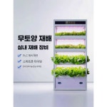one 홈가드너가정용수경재배기 스마트팜 재배기 실내 로즈골드 (AM4) 중간 : 원더지니 마켓