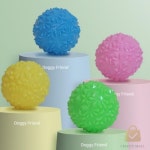 CN LED 스노우볼 색상랜덤 애견장난감 애견공 : 찬스인터내셔널