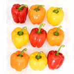 썬메이트 프리미엄 파프리카 패밀리 9과 [농장직송] GAP경진대회 대상 : 썬메이트 파프리카