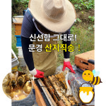 벌꿀 , 선물하기 좋은 곰돌이가 훔쳐먹다 들킨꿀,문경벌꿀 380g, 2개 : 알라딘 지니유통