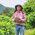 2025년 햇오디 진주천사오디 슈퍼오디 ODGO 오디고 : ODGO