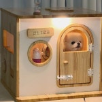 캣토피아 반려동물  강아지 산소방 고양이 하우스 원목 숨숨집 네블라이저방 : 캣토피아