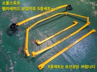 펠리세이드 스트럿바 : 쏘올스포츠SOULSPORT