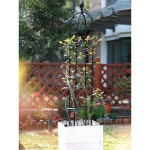 식물 철제 장미아치 아치 대형 오벨리스크 철제덩쿨 울타리 넝쿨 : 팔탄셀2