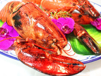 캐나다 항공직송 활어 랍스타 2kg 2.5kg : 수산파크