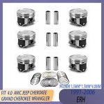AMC STD 엔진 6PCS 피스톤 및 링 키트 91-06 4.0 L 12V ERH OHV For JEEP CHEROKEE GRAND CHEROKEE Ⅰ Ⅱ WRANGLER Ⅱ 0 : 프린스타46