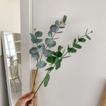 실버달러 유칼립투스 조화 가지 : 메이드모드