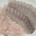 국내산 제철 농어 농어회 원물1kg내외 당일손질 동부회센타(손질후 340g) : 동부회센타 온라인몰