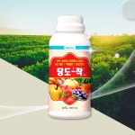 당도착1리터 : THE 풍년