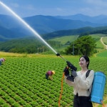 케이올 팜케어건 충전식 농약살포기 무선 농약분무기 압축 자동 고압세차기 : 케이올팜 툴즈