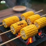 초당옥수수 달콤 아삭 고당도 농장 산지직송 특품 : 정들장터